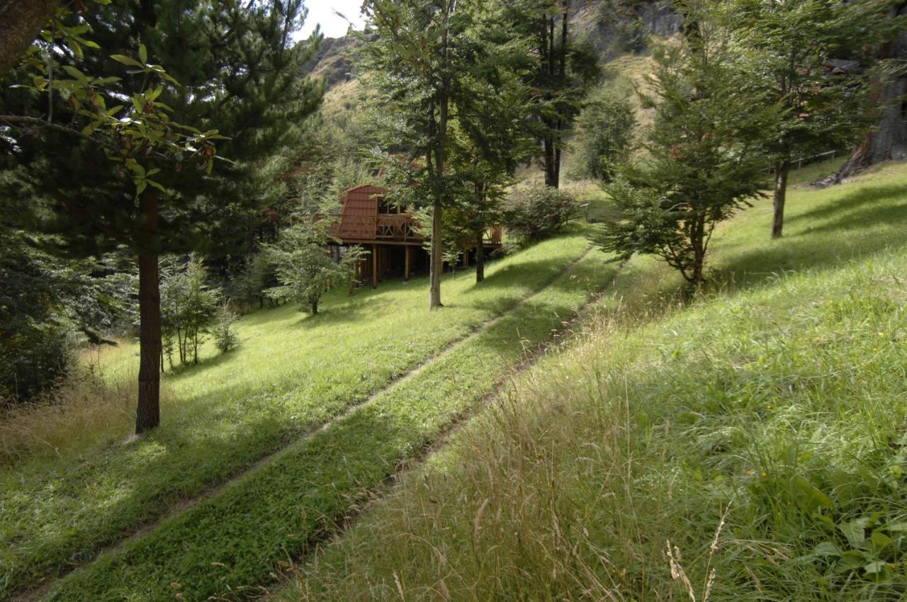 Cabanas Lago Elizalde Coyhaique Extérieur photo